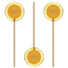 Kosher Honey Lollipops - The Weitzman Museum Store - 7 - 847384019722