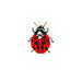 Lady Bird Beetle Brooch Pin - The Weitzman Museum Store - TL-B-584
