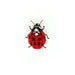 Lady Bug Brooch - The Weitzman Museum Store - 7 - 847384017927