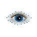 Lapis Eye Brooch Pin - The Weitzman Museum Store - TL-B-1024