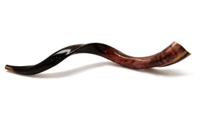 Large Natural Ram's Horn Shofar - The Weitzman Museum Store - SHA