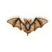 Long Eared Bat Brooch Pin - The Weitzman Museum Store - TL - B - 610