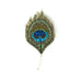 Luminous Peacock Feather Brooch Pin - The Weitzman Museum Store - 