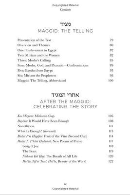 Night of Beginnings: A Passover Haggadah by Marcia Falk - The Weitzman Museum Store - 7 - 847384017983