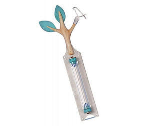 Olive Tree Mezuzah w/Dove - The Weitzman Museum Store - 7 - 847384019711