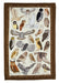 Owl Towel - The Weitzman Museum Store - 5837