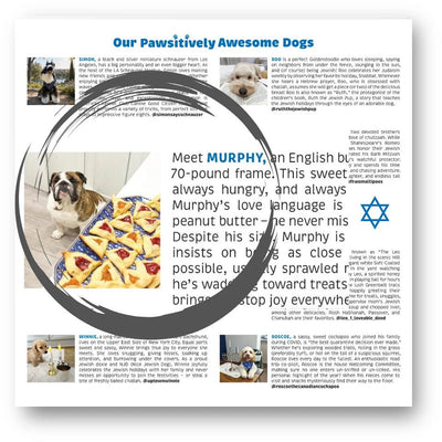 Pawsitively Jewish 2027 Calendar - The Weitzman Museum Store - 884400599124
