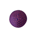 Phish Donuts Kippah - The Weitzman Museum Store - 