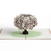 Pink Magnolia Tree Pop - Up Card - The Weitzman Museum Store - LP6729