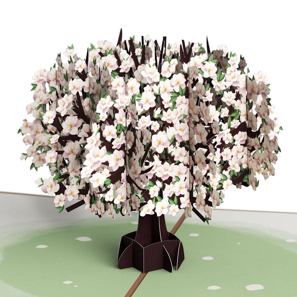Pink Magnolia Tree Pop - Up Card - The Weitzman Museum Store - LP6729