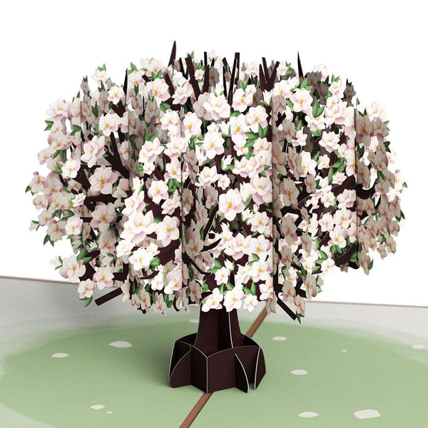 Pink Magnolia Tree Pop - Up Card - The Weitzman Museum Store - LP6729