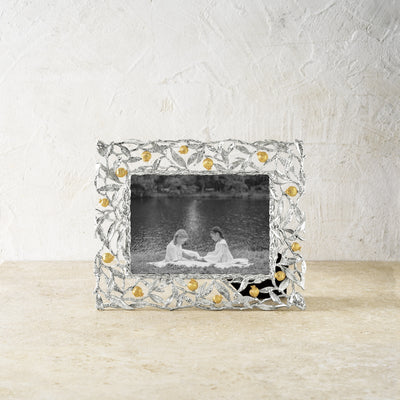 Pomegranate Frame - 5X7 - The Weitzman Museum Store - 175585