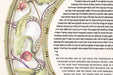 Pomegranate Ketubah by Daniel Azoulay - The Weitzman Museum Store - 1