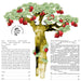 Pomegranate Tree Ketubah by Ruth Rudin - The Weitzman Museum Store - 