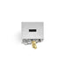 Pomegranate Tzedakah Box - Silver & Gold - The Weitzman Museum Store - 174126
