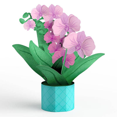 Proud to Be Y’Orchid Mother’s Day Card with Mini Bouquet - The Weitzman Museum Store - LP6738