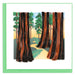 Quilled Redwood Trees Greeting Card - The Weitzman Museum Store - 1439