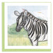 Quilled Zebra & Birds Greeting Card - The Weitzman Museum Store - CM044