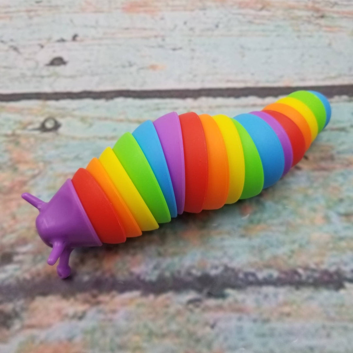 Rainbow Sensory Fidget Stress Relief Slug Toy - The Weitzman Museum Store - MIA261-1