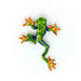 Red Eyed Tree Frog Booch Pin - The Weitzman Museum Store - TL - B - 804