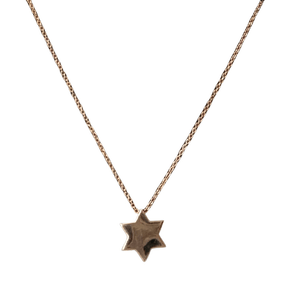 Rose Gold Star of David Pendant 16" - The Weitzman Museum Store - fs100rose