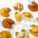 Rosh Hashanah Golden Fortune Cookie Marzipan - The Weitzman Museum Store - 