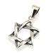 S Star of David Pendant - The Weitzman Museum Store - YAYP7847