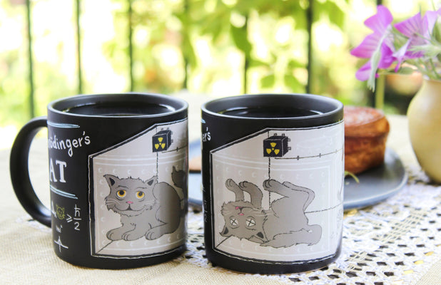 Schrodinger's Cat Mug Set - The Weitzman Museum Store - 4565