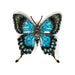 Sea Green Swallowtail Brooch Pin - The Weitzman Museum Store - TL-B-1018