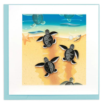 Sea Turtle Hatchlings - The Weitzman Museum Store - BL1219