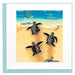 Sea Turtle Hatchlings - The Weitzman Museum Store - BL1219