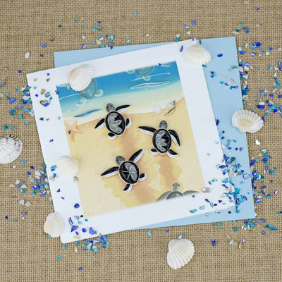 Sea Turtle Hatchlings - The Weitzman Museum Store - BL1219