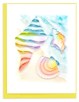 Seashell Box Set - The Weitzman Museum Store - 0027