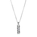 Shema Mezuzah Necklace - The Weitzman Museum Store - shema mezuzah