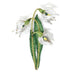 Snowdrop Flower Brooch Pin - The Weitzman Museum Store - TL-B-982