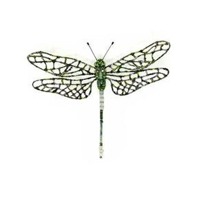 Southern Hawker Dragonfly Brooch Pin - The Weitzman Museum Store - 