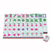 Spring Mahjong Tiles - The Weitzman Museum Store - OMM15