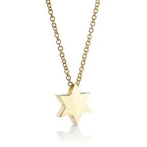 Star of David 14K Gold 16" Pendant - The Weitzman Museum Store - fs100yel