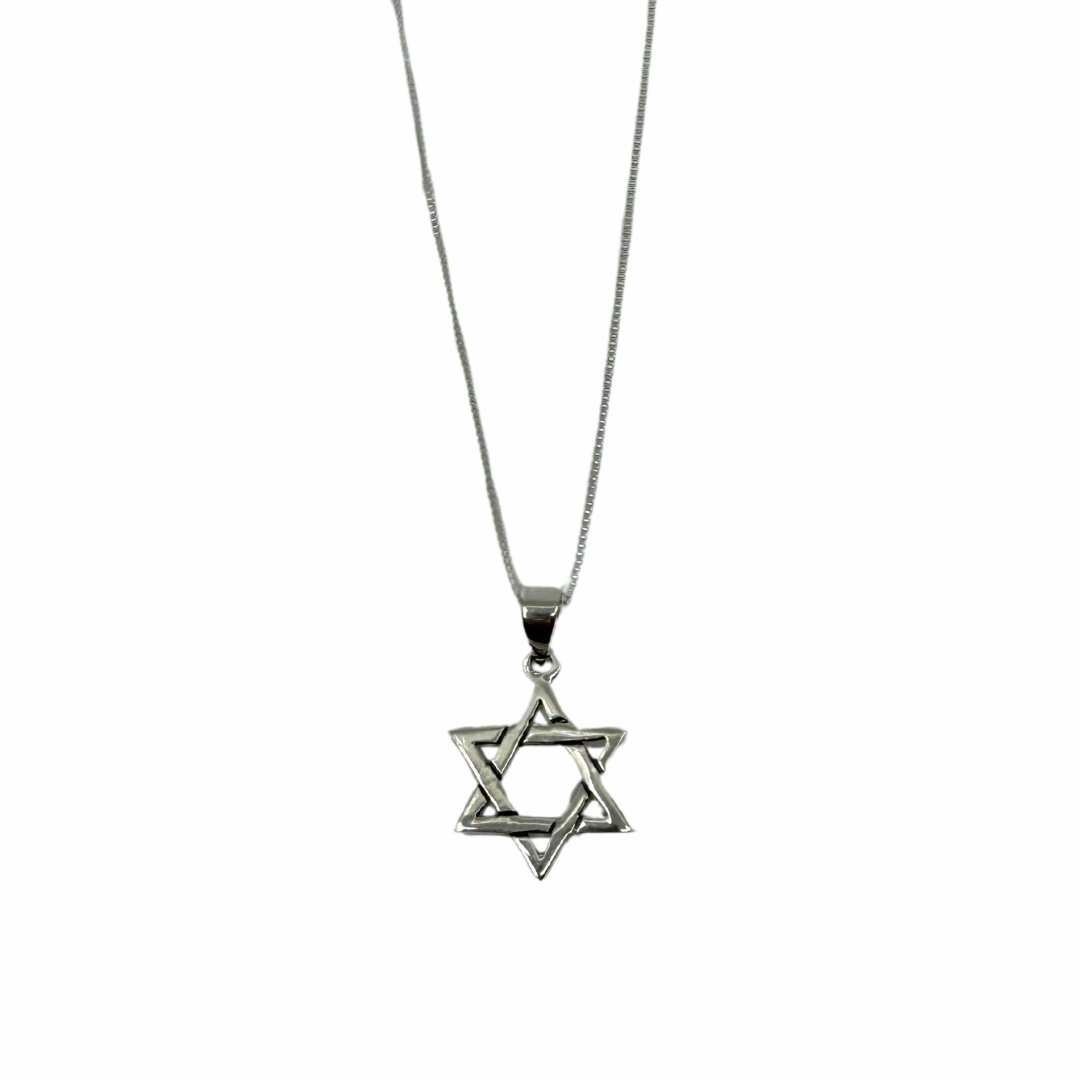 Star of David Pendant - The Weitzman Museum Store - YASN1