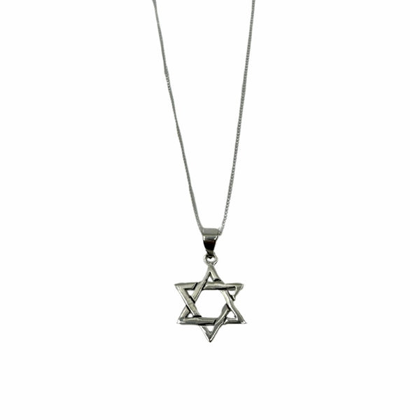 Star of David Pendant - The Weitzman Museum Store - YASN1