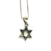 Star of David - Reversible Hamsa/Double Star 16" Necklace - The Weitzman Museum Store - YATN8