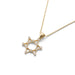 Star of David with Diamonds Necklace - The Weitzman Museum Store - 521076