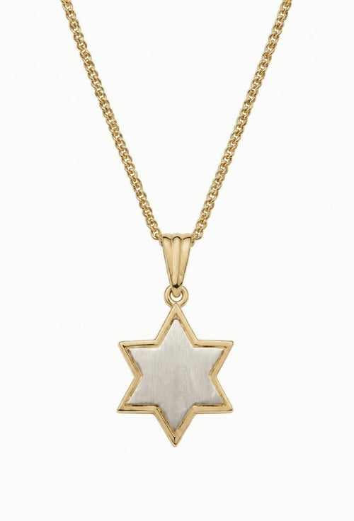 Statement 14K Yellow & White Gold Pendant - The Weitzman Museum Store - K532