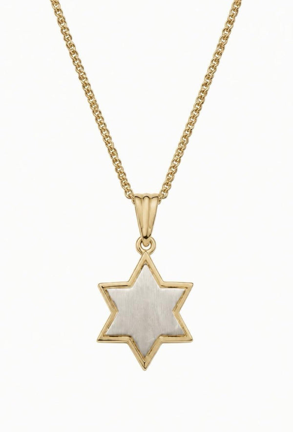Statement 14K Yellow & White Gold Pendant - The Weitzman Museum Store - K532