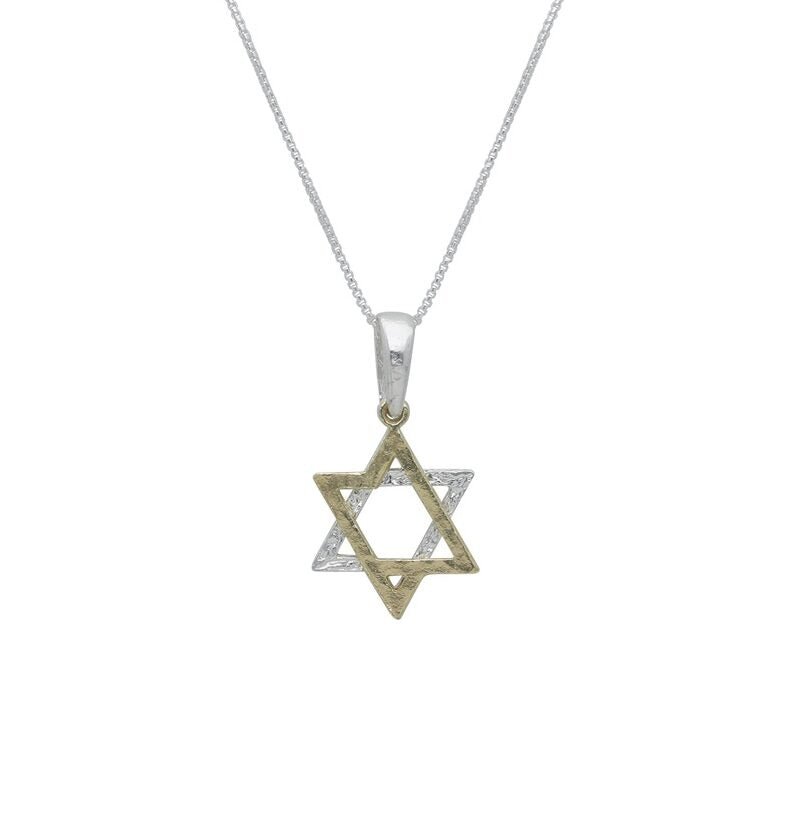 Sterling and Gold Star of David Necklace - The Weitzman Museum Store - 529739