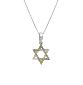 Sterling and Gold Star of David Necklace - The Weitzman Museum Store - 529739