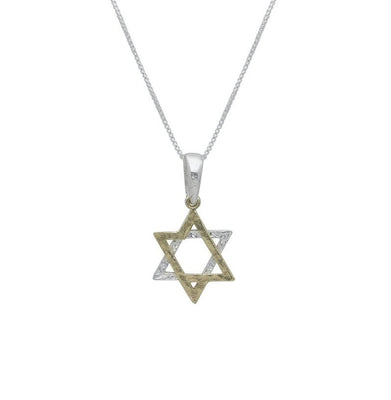 Sterling and Gold Star of David Necklace - The Weitzman Museum Store - 529739