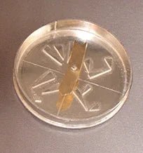 Sterling Silver Dreidel - The Weitzman Museum Store - 7-847384012584