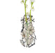 Suction Cup Vase in Multiple Famous Designs - The Weitzman Museum Store - SCV3017