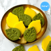 Sukkot Etrog and Leaf Collection Marzipan - The Weitzman Museum Store - sku - 45796208476385